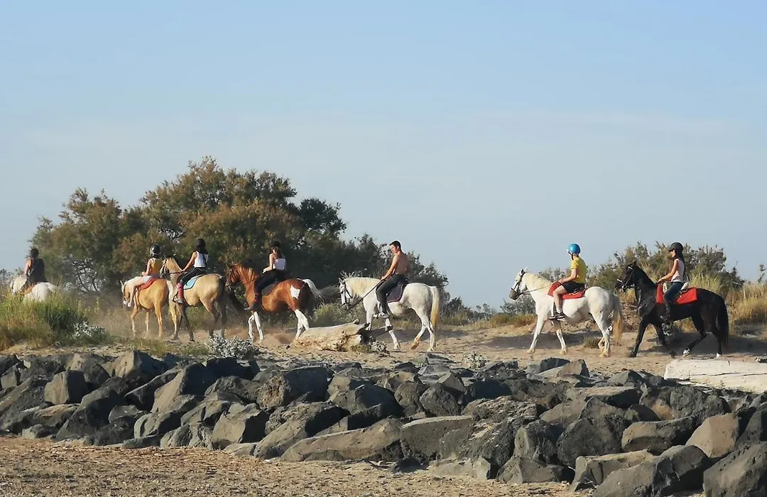 Meublé de tourisme 6/8 pers bord de mer sur camping 4*-1