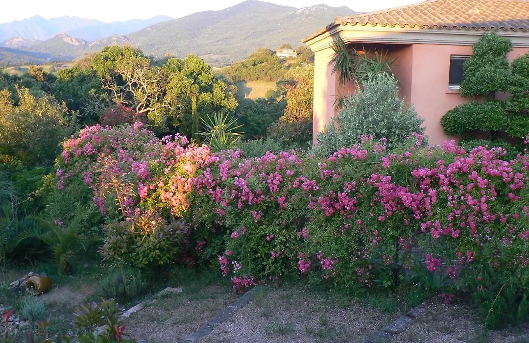Chambre d'hote Casa Tozza-1