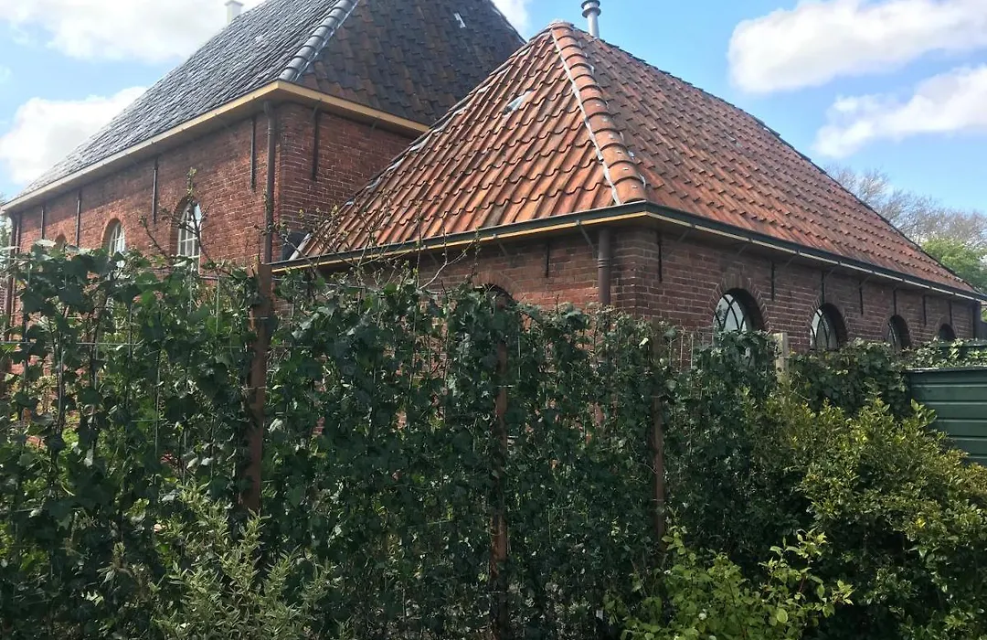 De vijgenhof-1