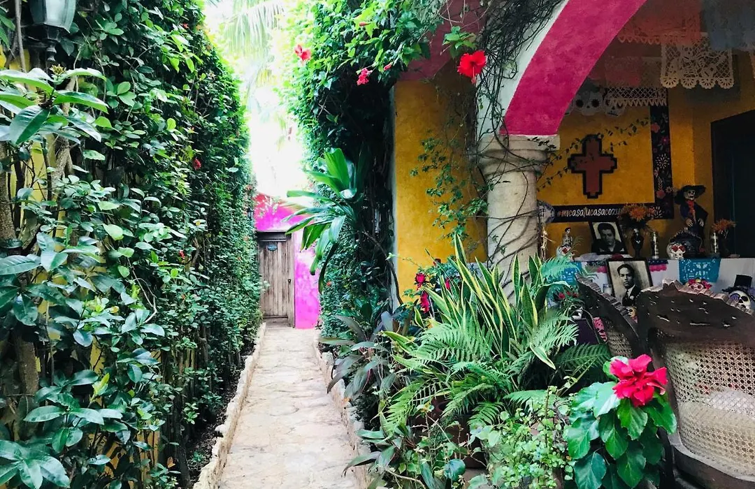 Hacienda Boutique B&B And Spa Solo Adultos-1