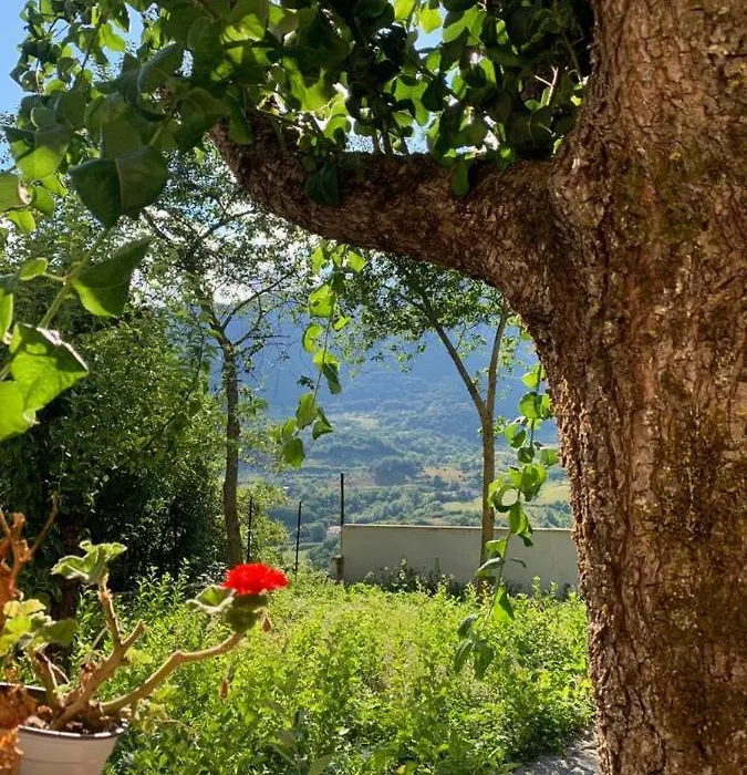B&B Al San Francesco-1