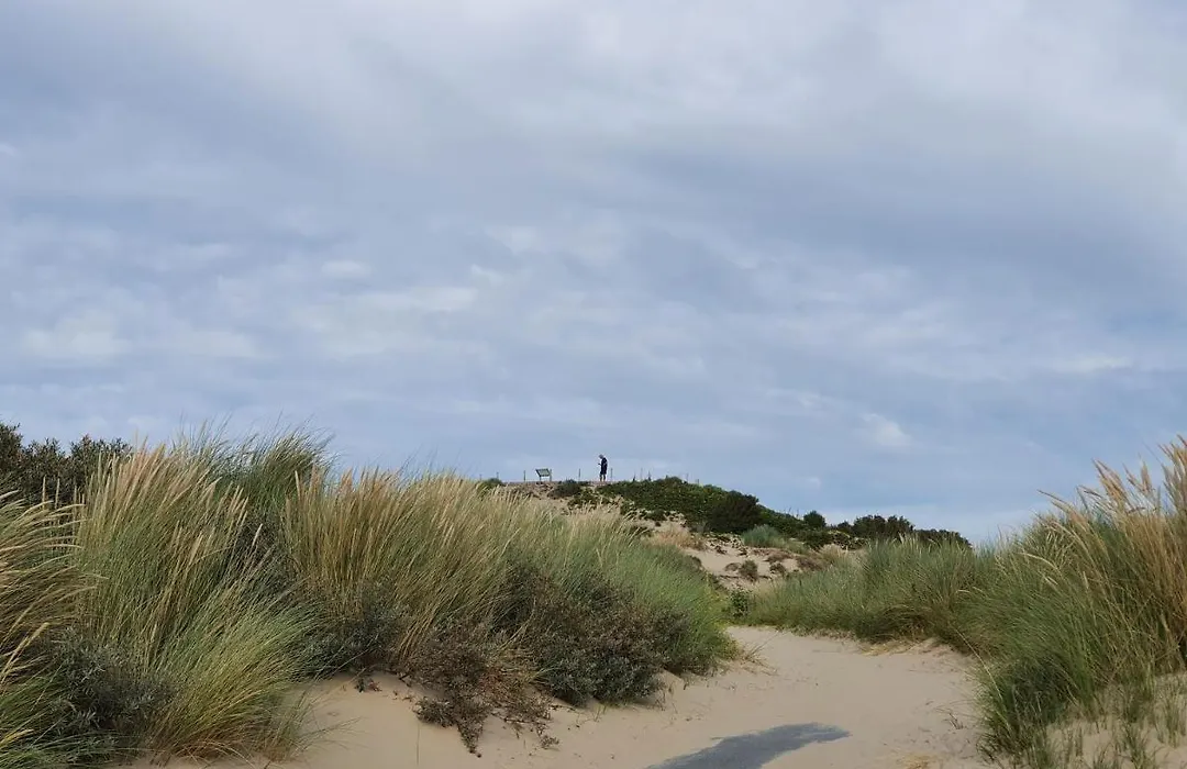 Scheveningen Sea Side-1