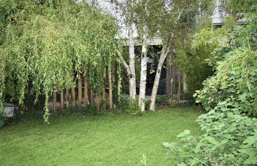 B&B Behind The Tree-1