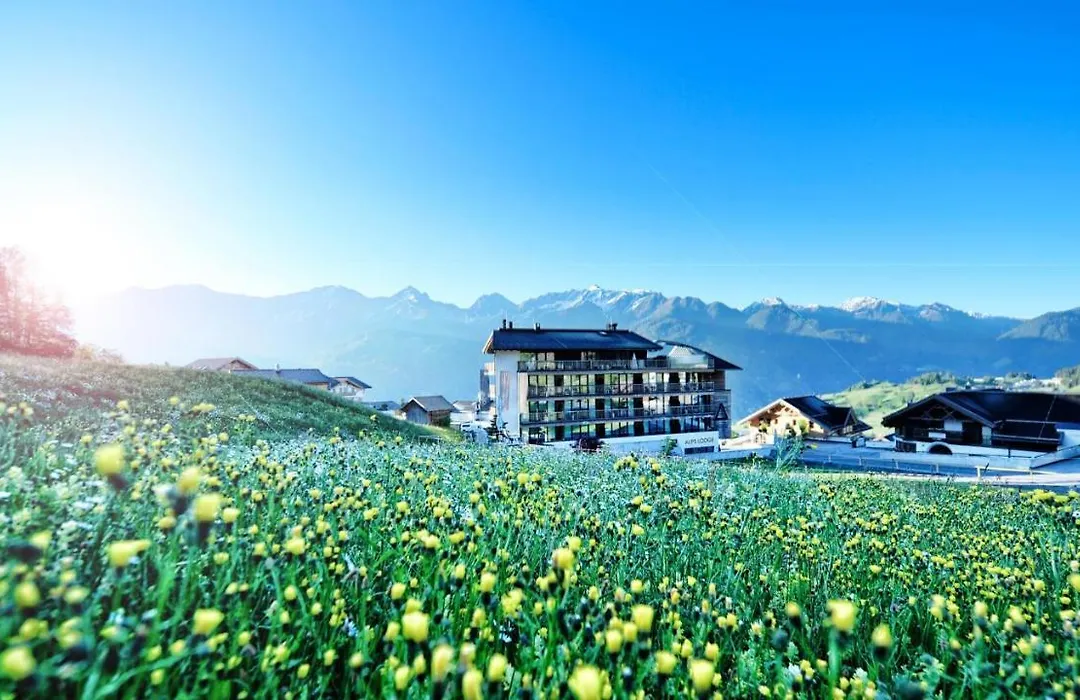 Alps Lodge-1