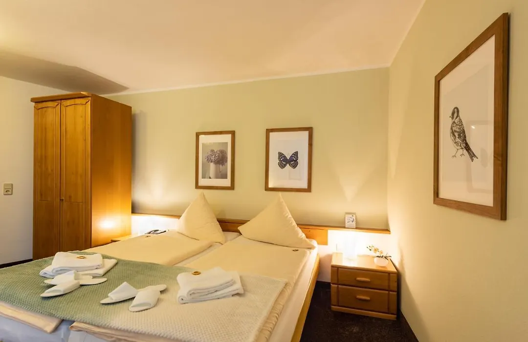 Hotel Nibelungen Hof-1