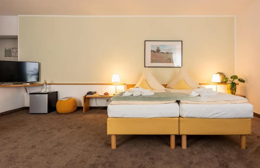 Hotel Nibelungen Hof-1