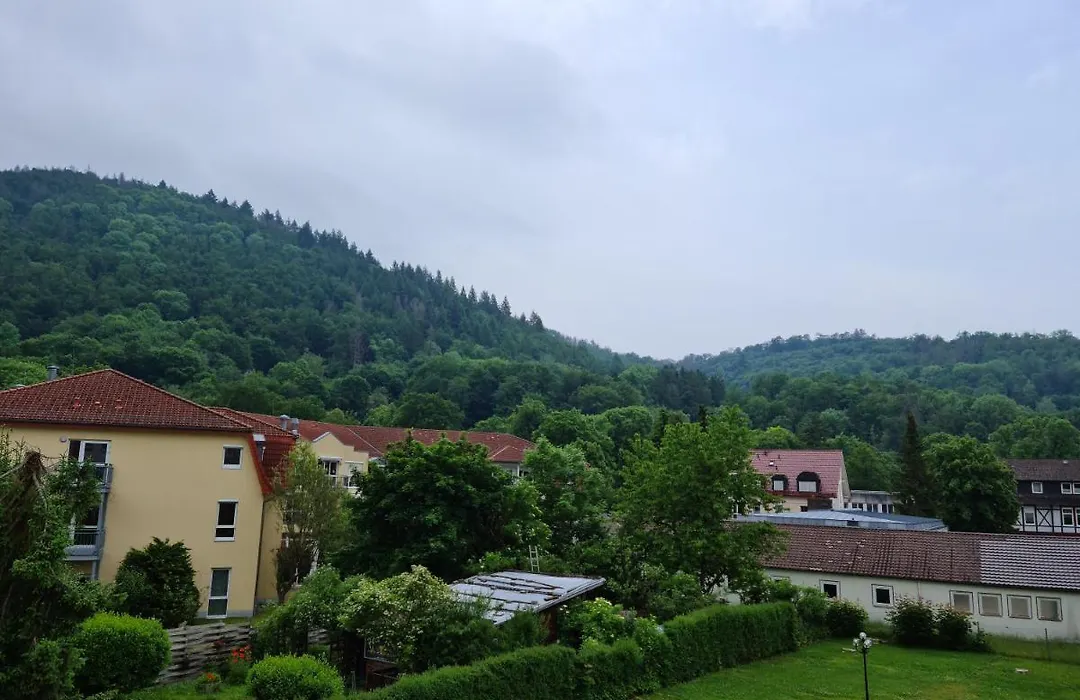 Pension Kreihe im Harz-1