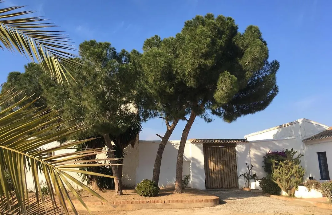 Torre de la Campana-1