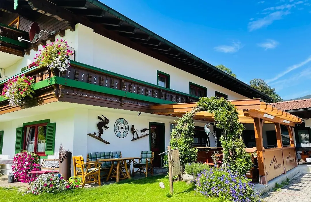 Hotel - Pension Alpenstern-1
