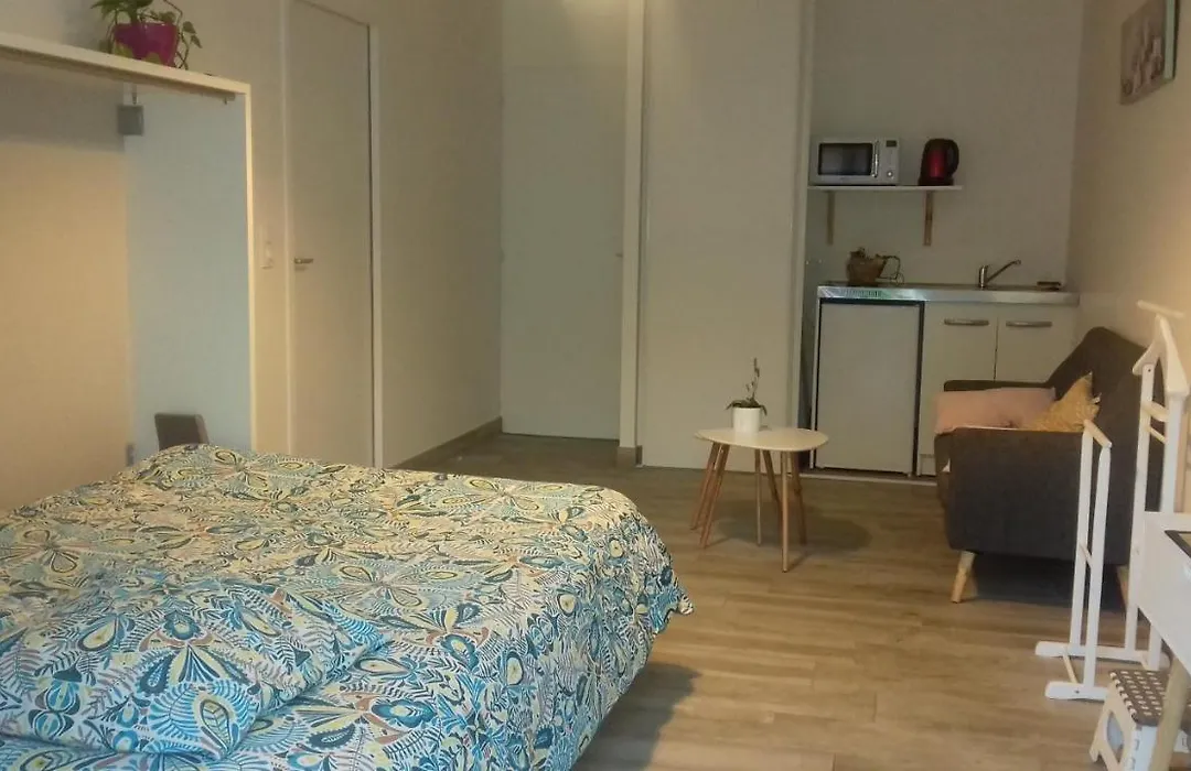 Studio Dans Quartier Calme Pres De Tout-1