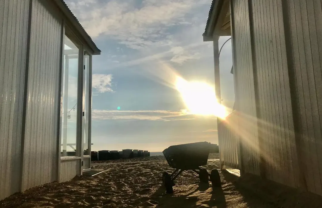 Hippocampus Aan Zee-1