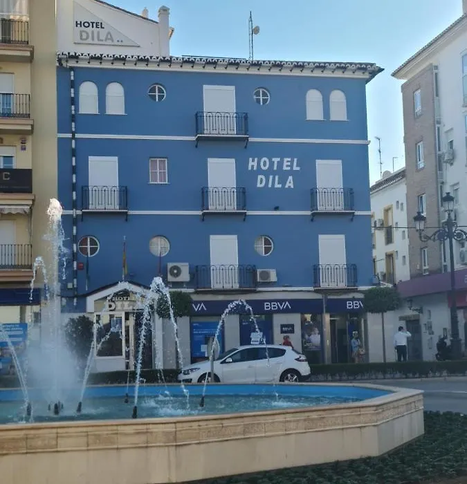 Hotel Dila-1