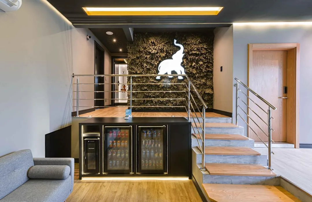 Elephant Office Brasil-1