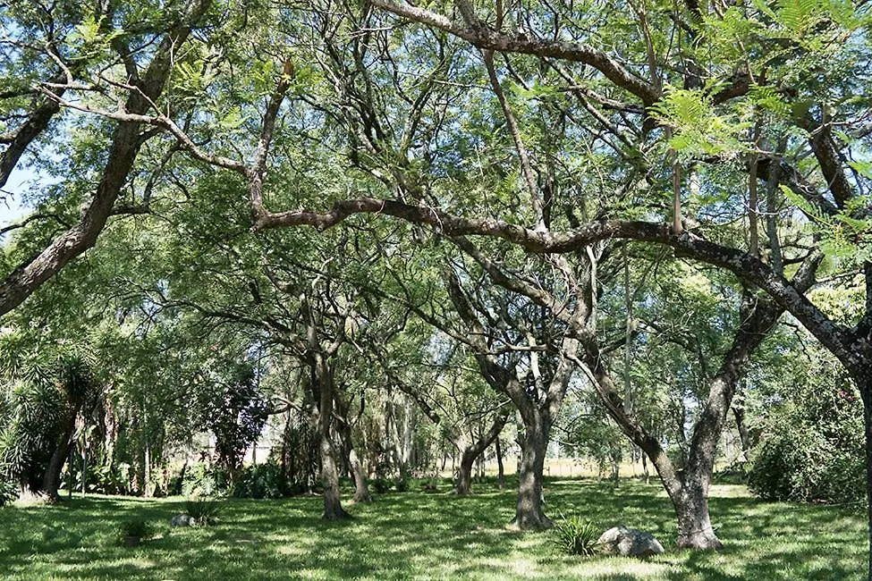 Estancia Timbauva-1