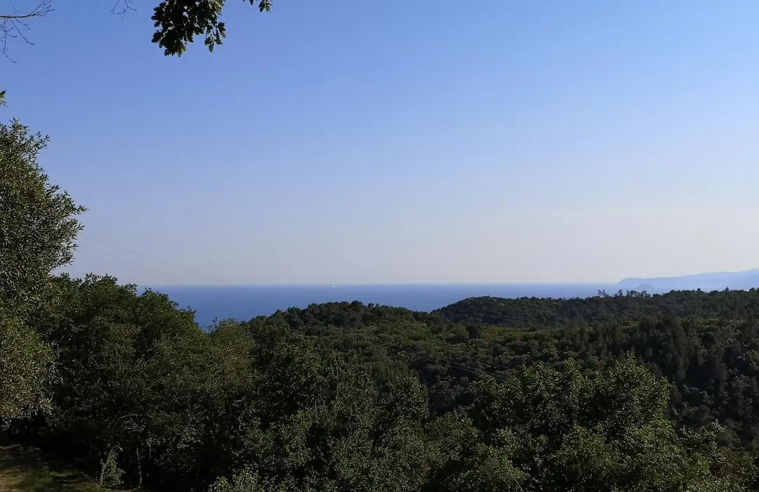Torre Mendari-1