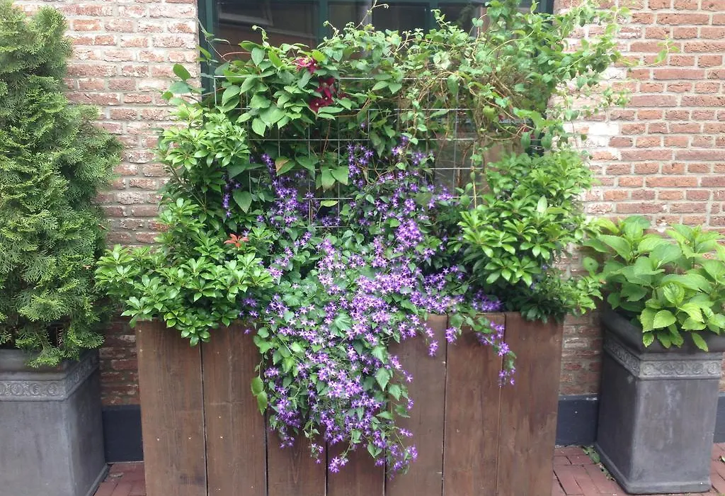 Auberge aan het Hof-1