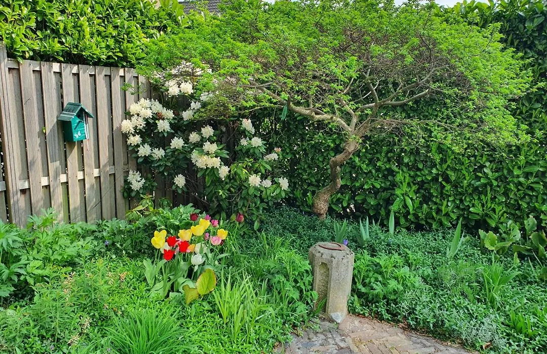 B&B de Loeff-1