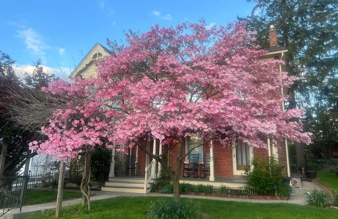 Brickhouse Inn B&B-1