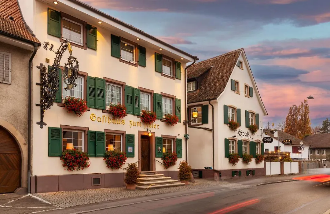 Hotel Adler - Weil am Rhein / Basel-1
