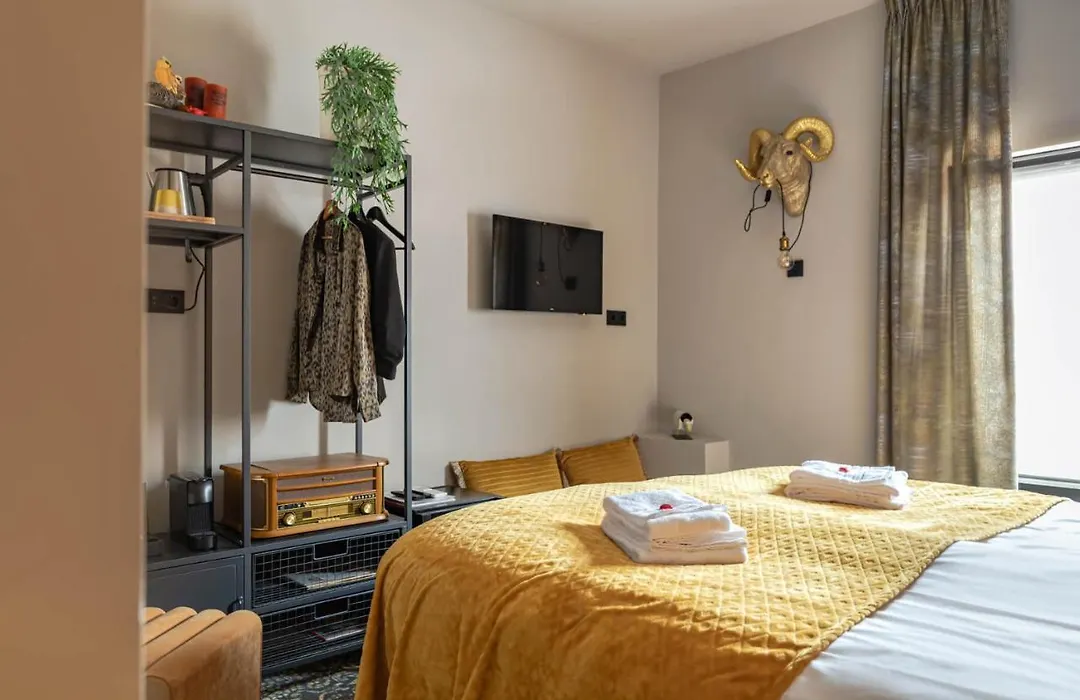 Boutique Hotel De Drentse Liefde-1