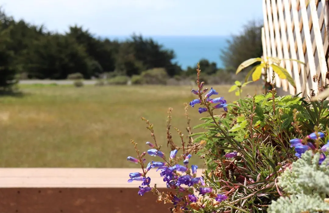 Cozy Getaway With Ocean View And Private Entrance!-1