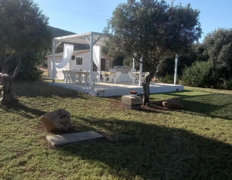 B&B Gli Ulivi-1
