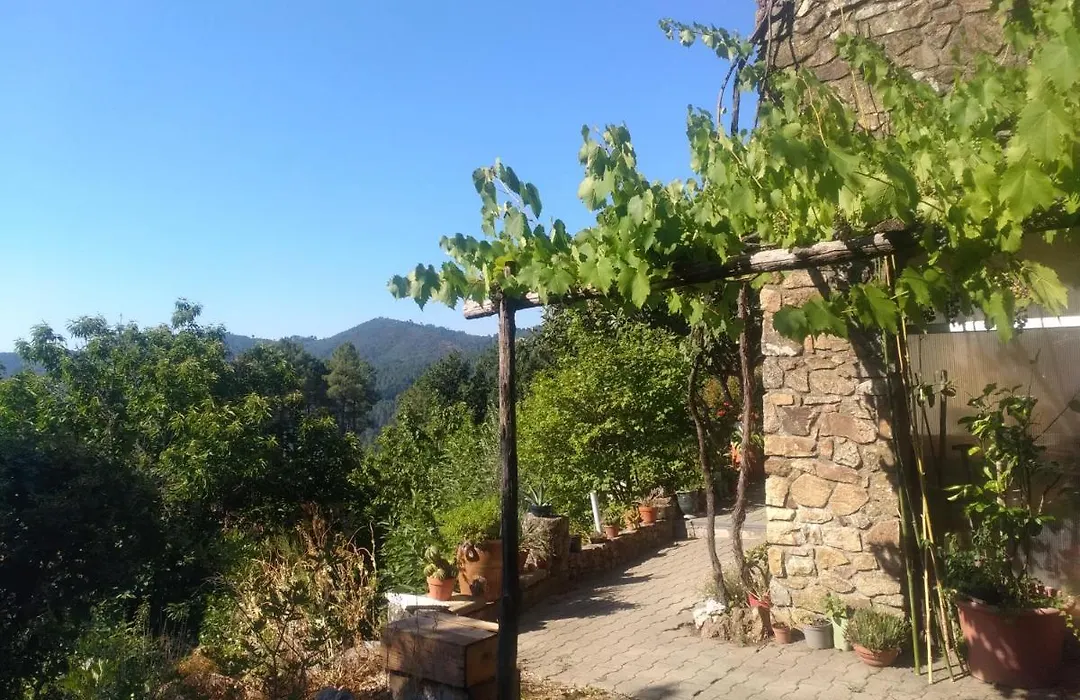Les Jardins d'Arbousse-1