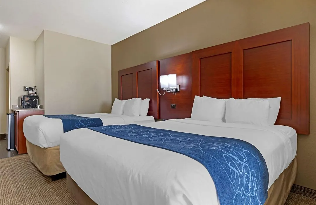 Comfort Suites Gainesville-1
