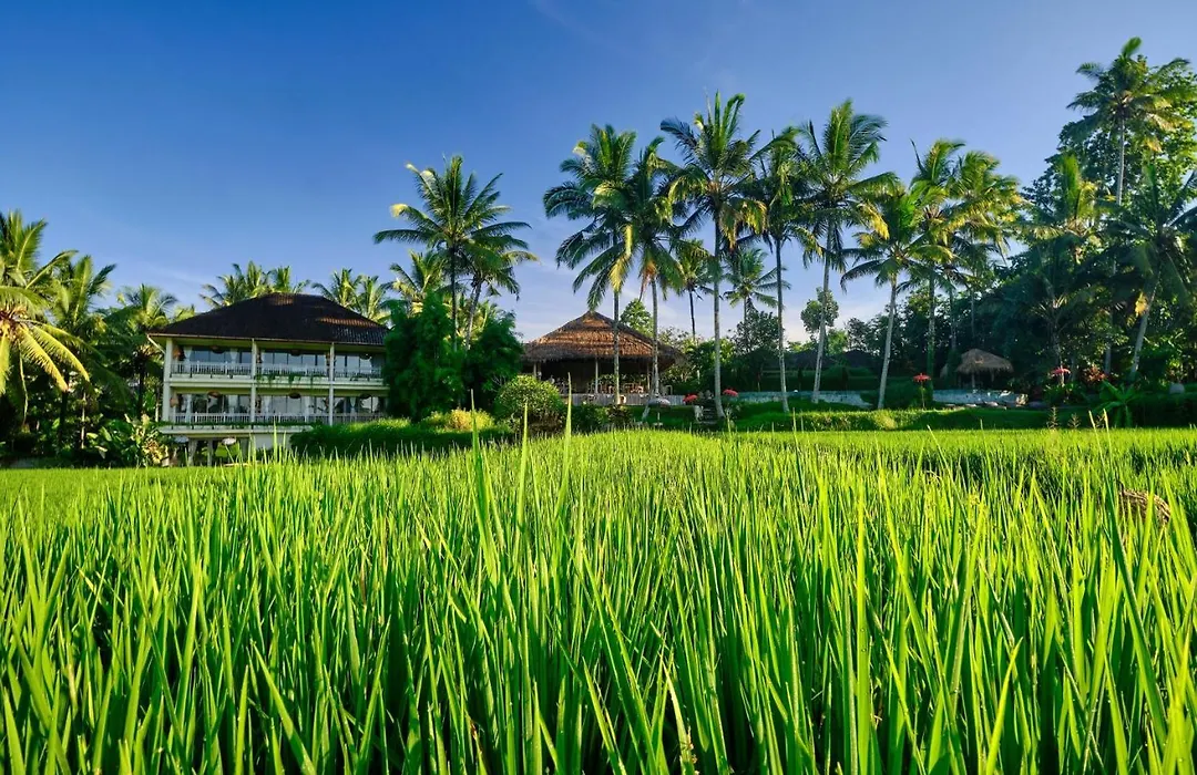 Mathis Retreat Ubud-1