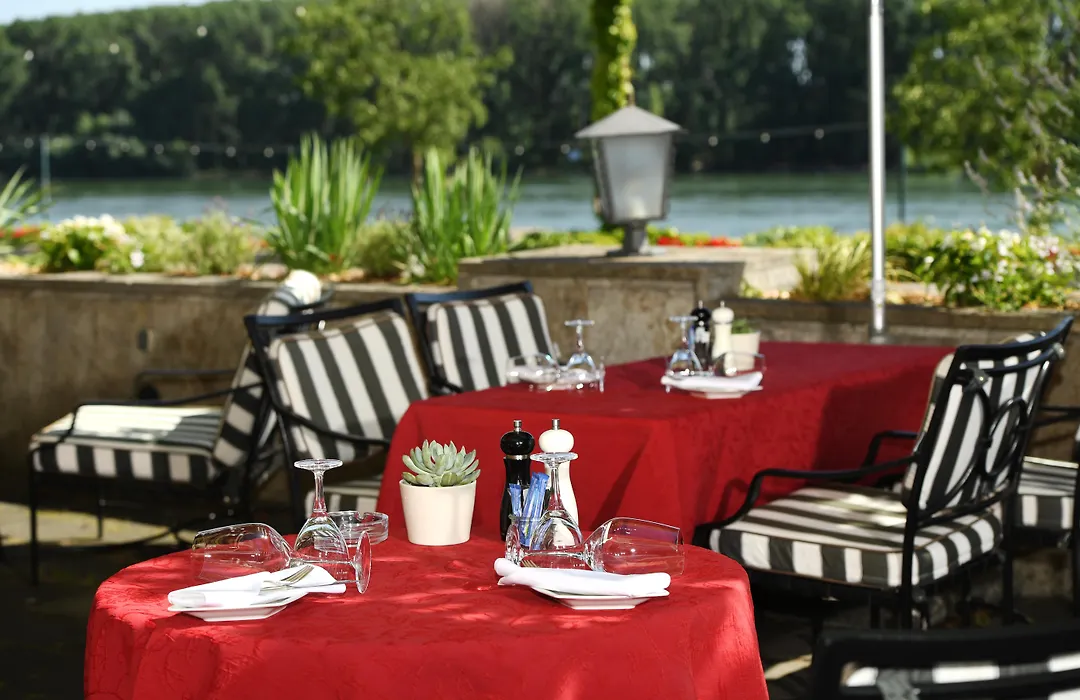 Rhein-Hotel Nierstein-1