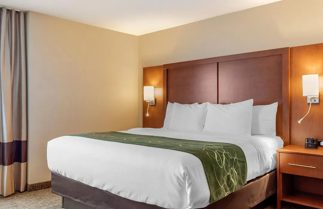 Comfort Inn & Suites Schenectady - Scotia-1