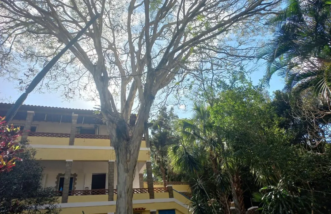 Casa Da Fonte Hospedaria-1