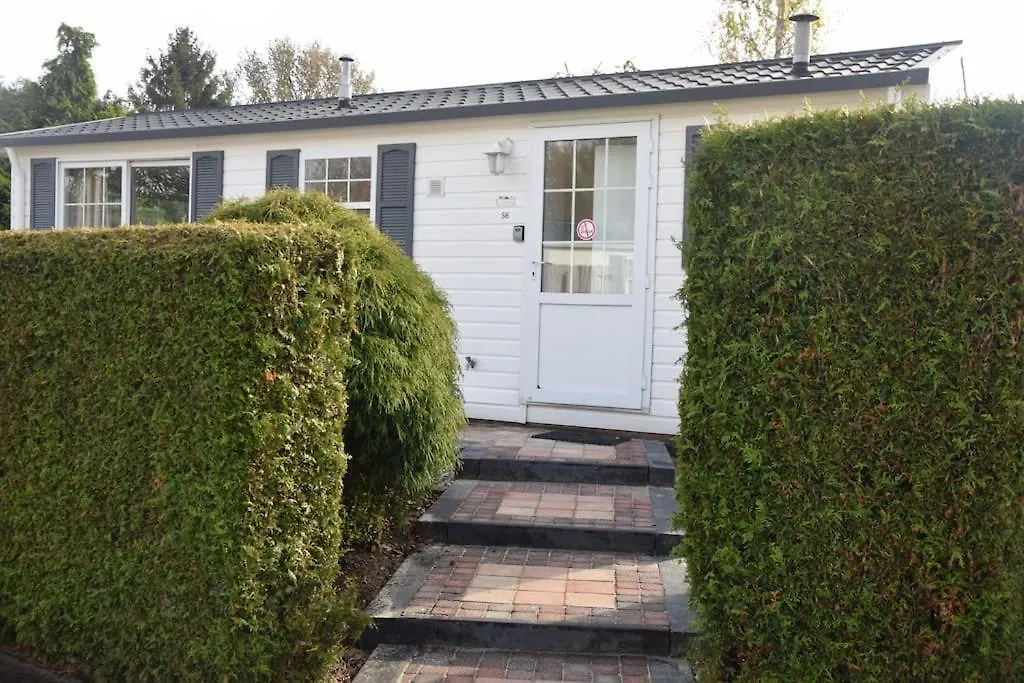 Chalet Heggemus Oisterwijk-1