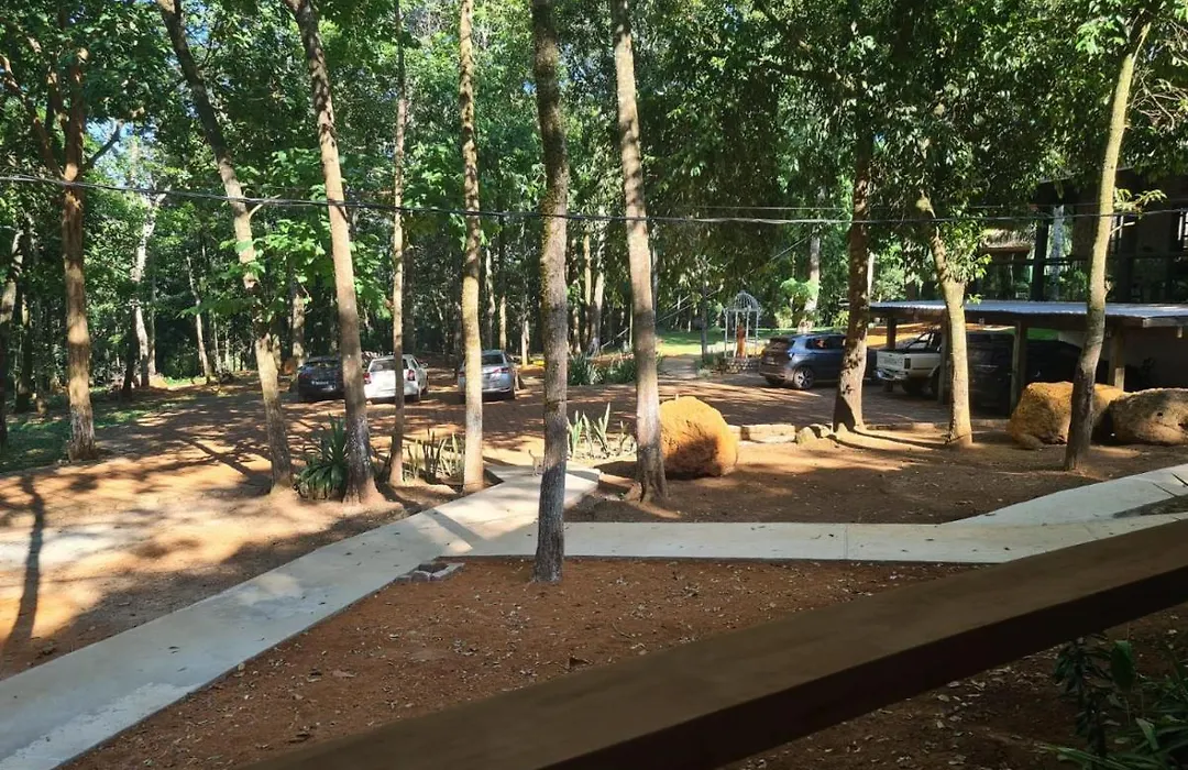 Bosque São Francisco-1