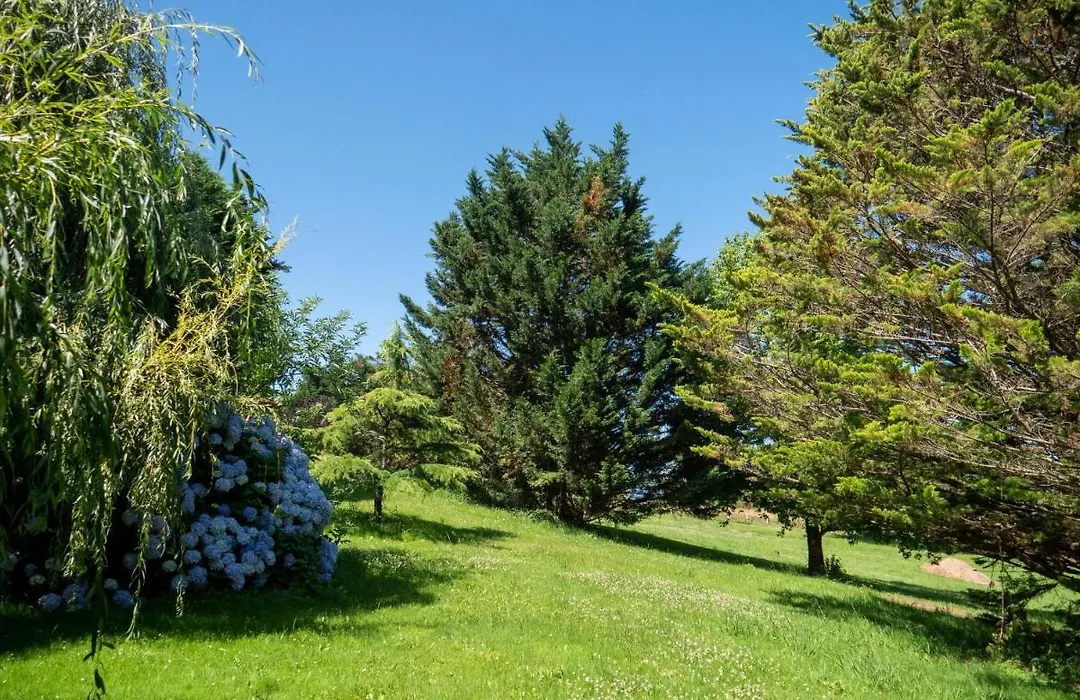 Villa Enara-1