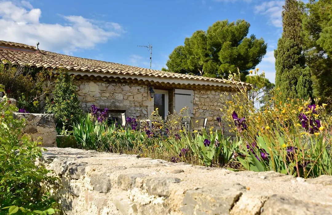 Domaine du Mas Foucray-1