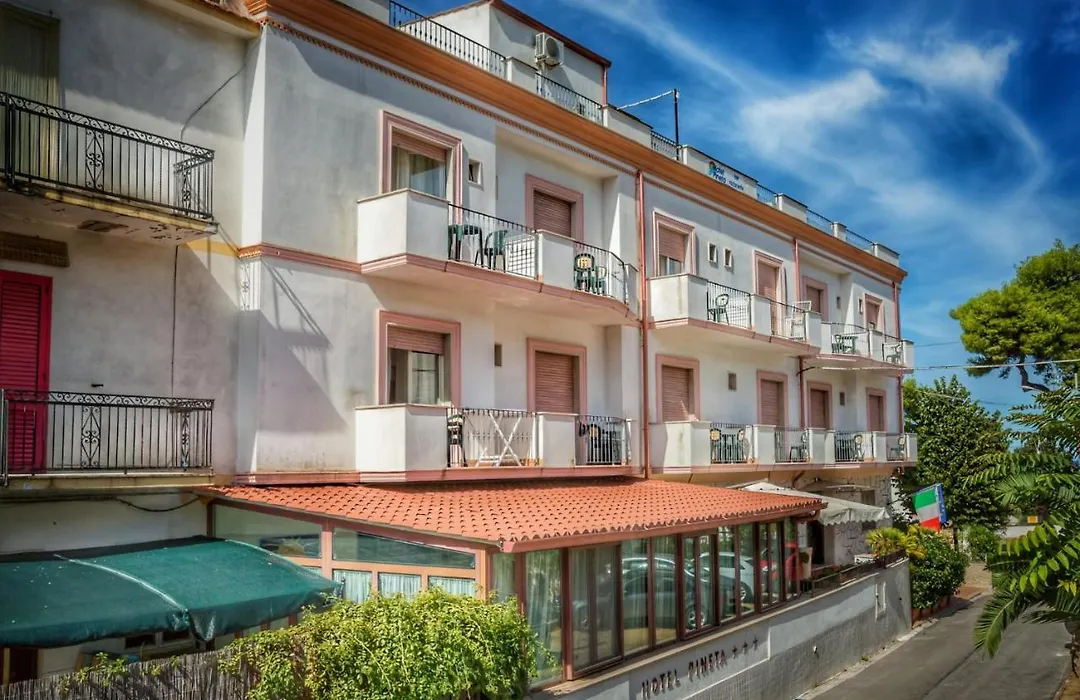 Hotel Pineta-1