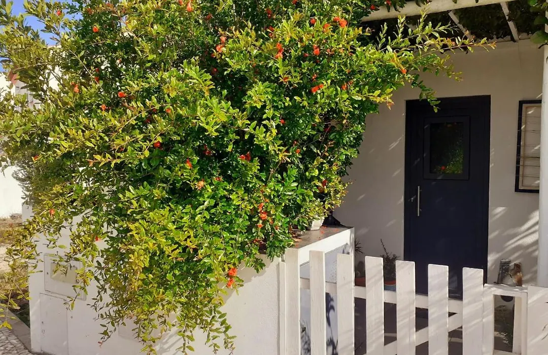 Zenergy - Guest House-1