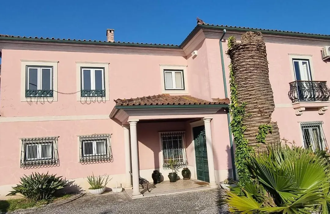 Casa Da Palmeira-1