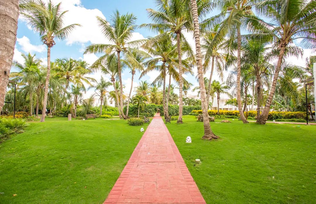 Be Live Collection Canoa-1