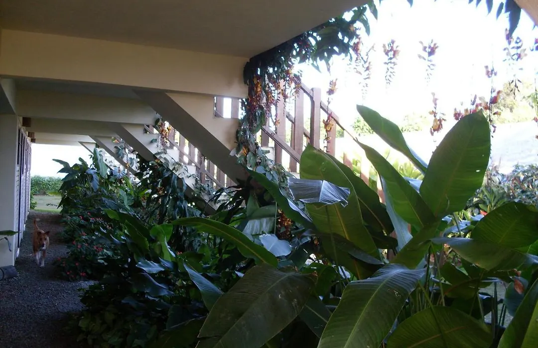 Chales Do Sol-1