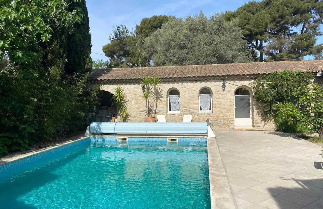 Le Patio aux Oiseaux-1