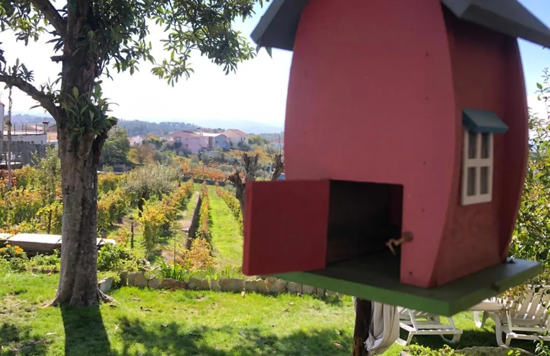 Quinta Da Estrada Winery Douro Valley-1