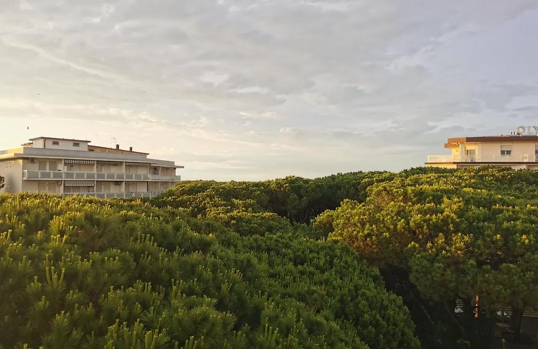 Hotel Pine Beach-1