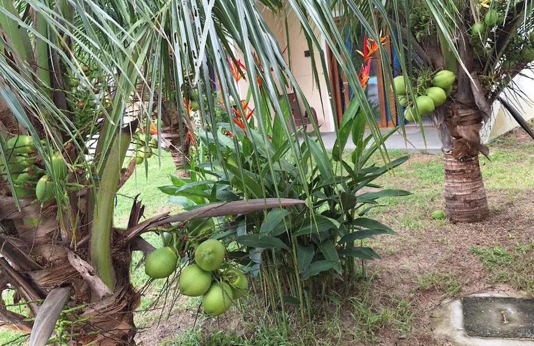 Pousada Casa du Soleil Camocim-1