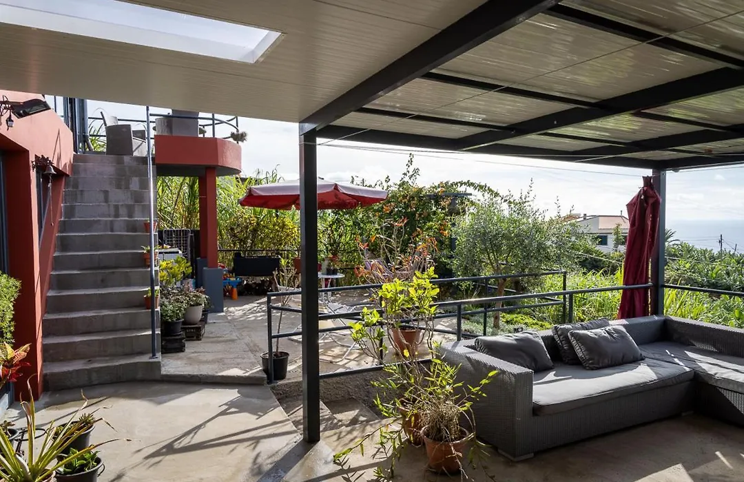 Panoramic House-1