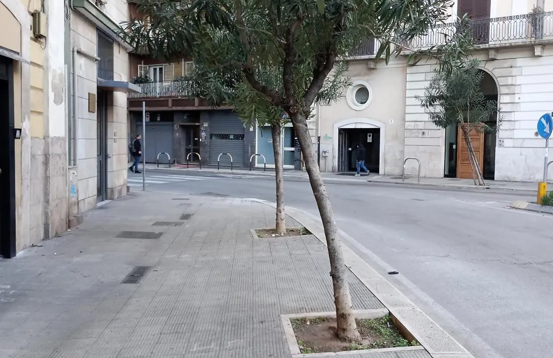 Casa Piacquadio-1