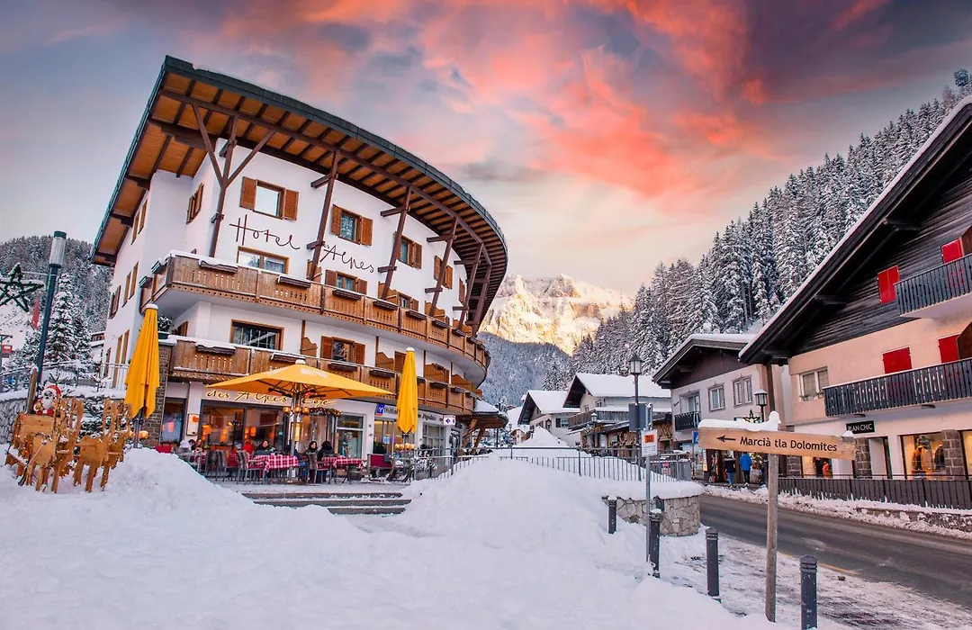 Hotel Des Alpes-1
