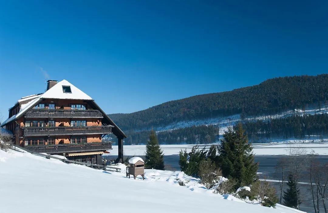 Alemannenhof - Boutique Hotel Am Titisee-1