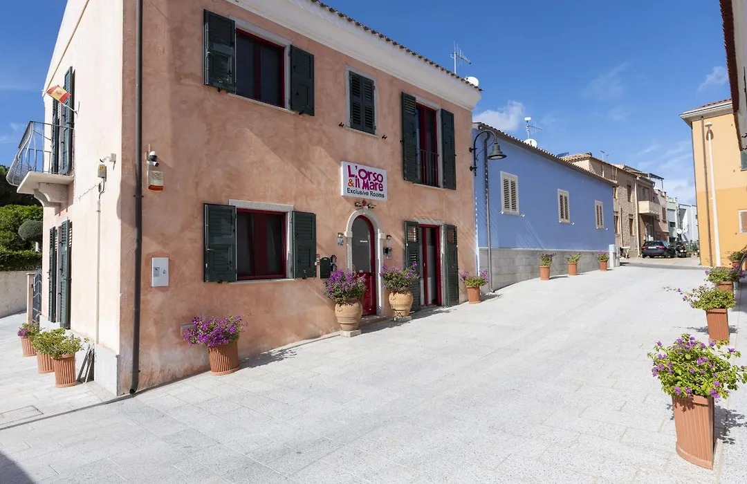 L'Orso e il Mare (Adults Only)-1